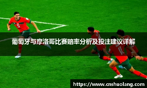 zoty中欧官方网站